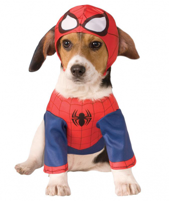 Hundekostüm Hund